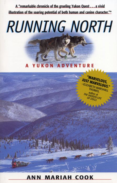 199829250.jpg