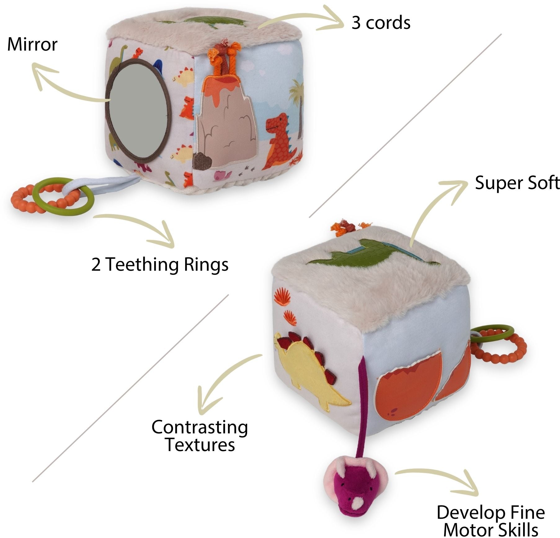 Activity Cube - Dino