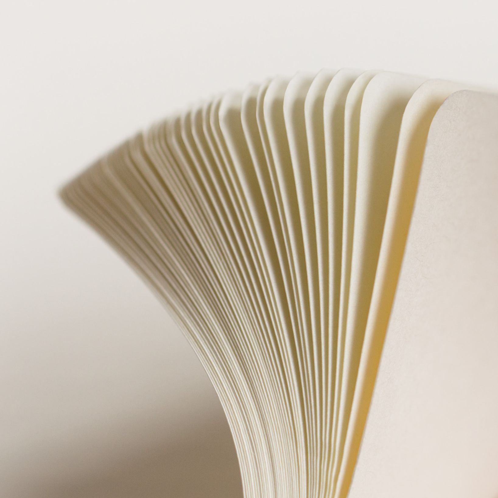 Leuchtturm Black Dotted Page Softcover Paperback Notebook