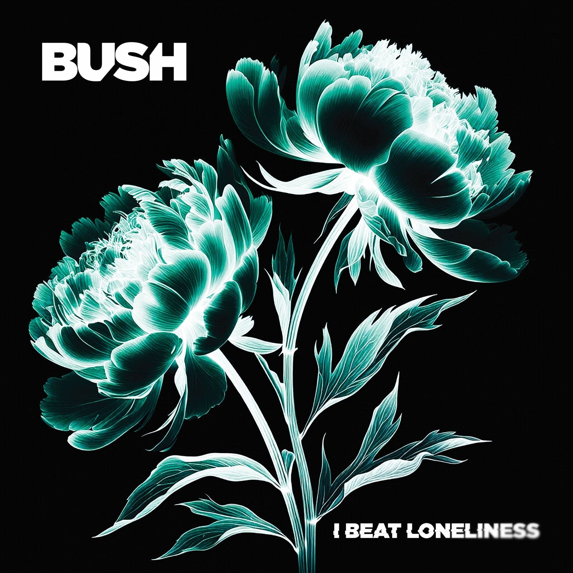 I Beat Loneliness