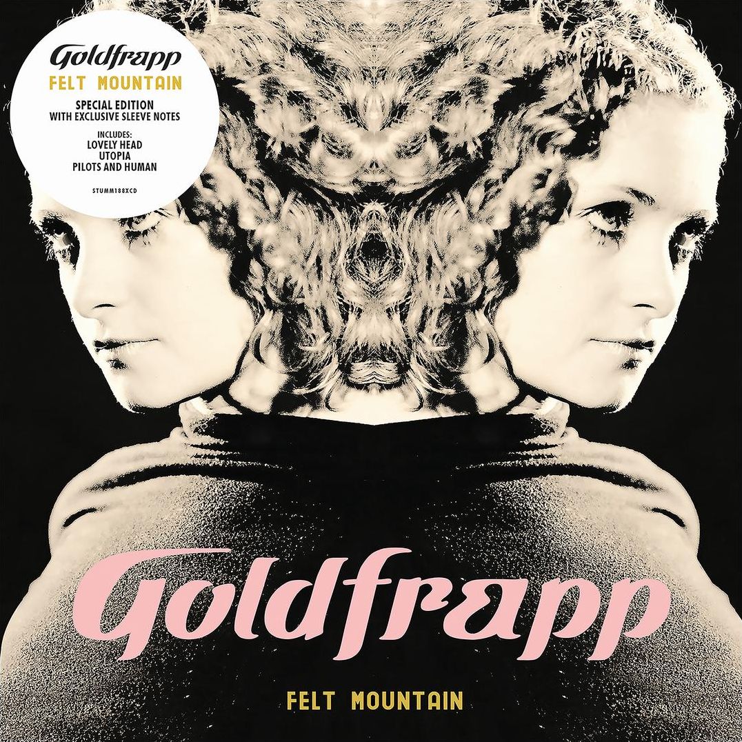 Felt Mountain