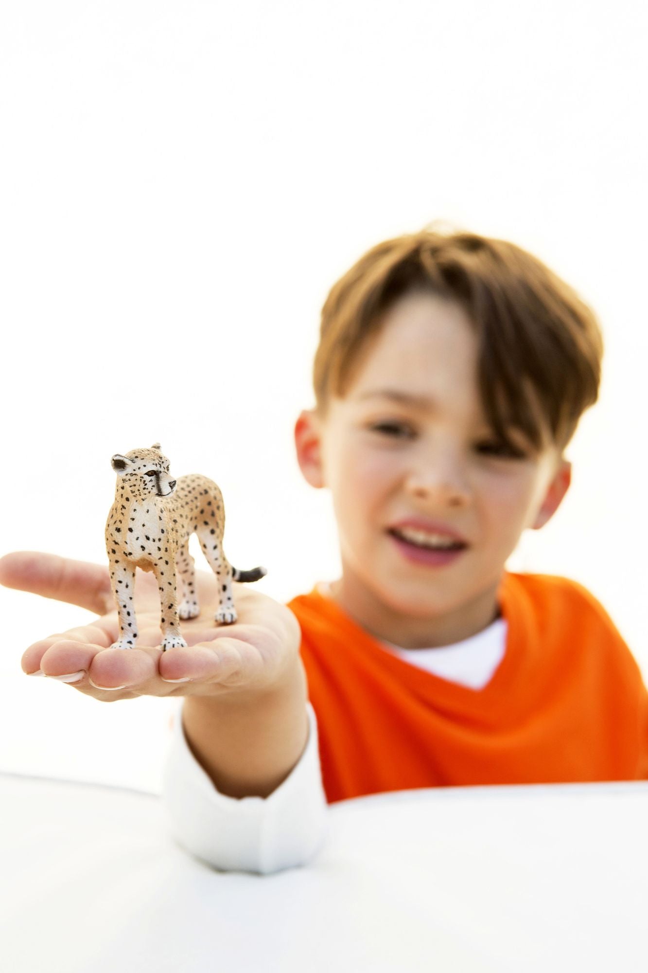 Cheetah Female