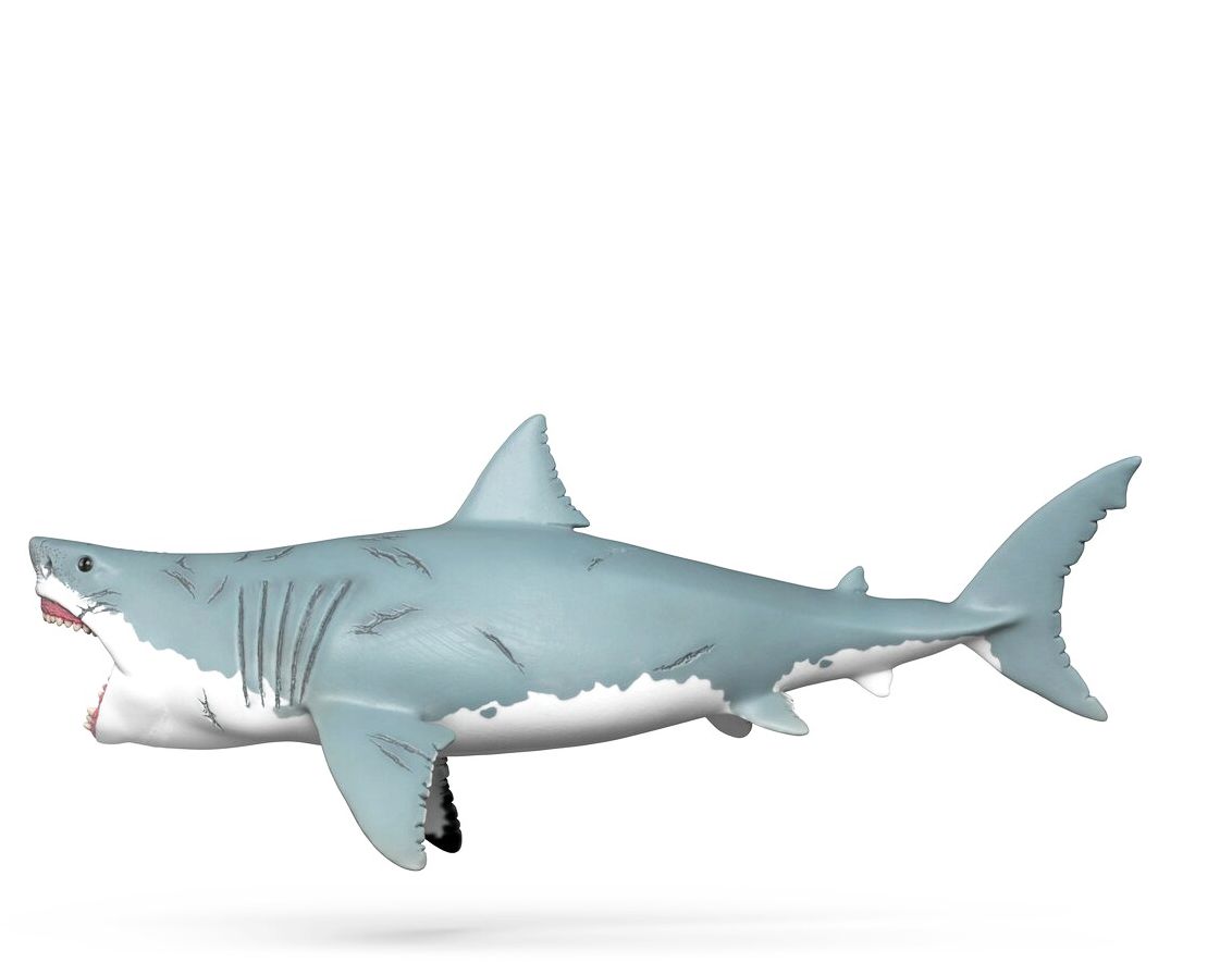 Megalodon