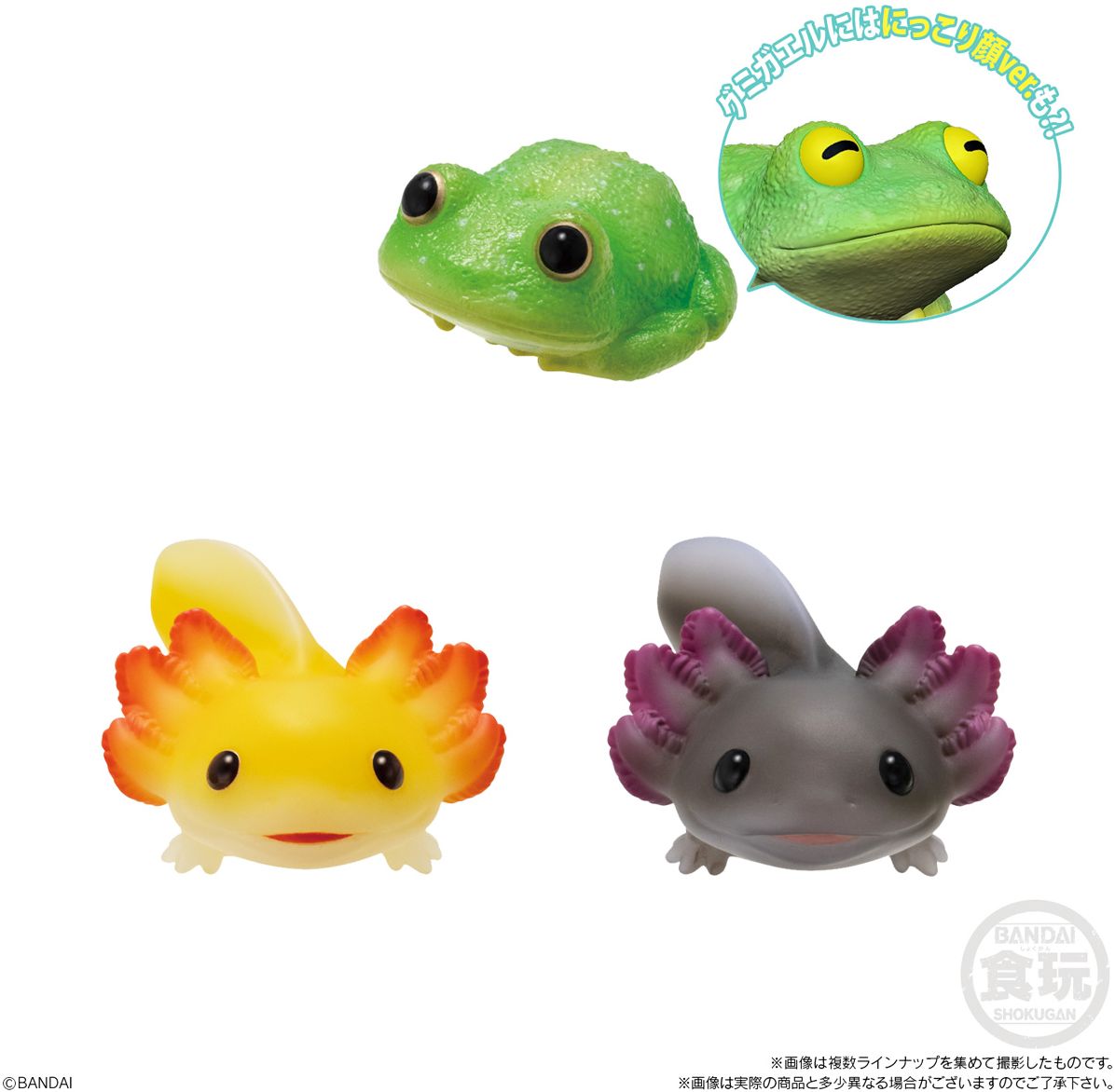 Tenori Friends 11 - Reptiles & Amphibians , Bandai Shokugan Tenori Friends