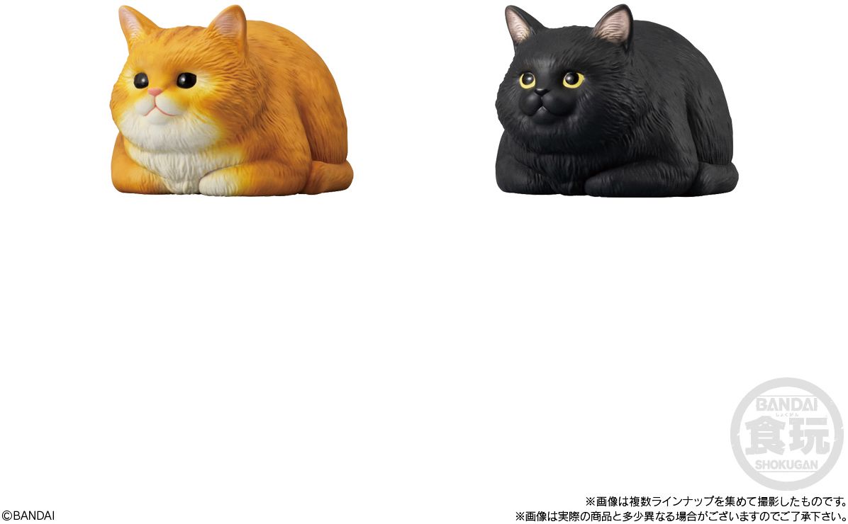 Mocchiri Kororin Cats, Bandai Shokugan Mocchiri Kororin