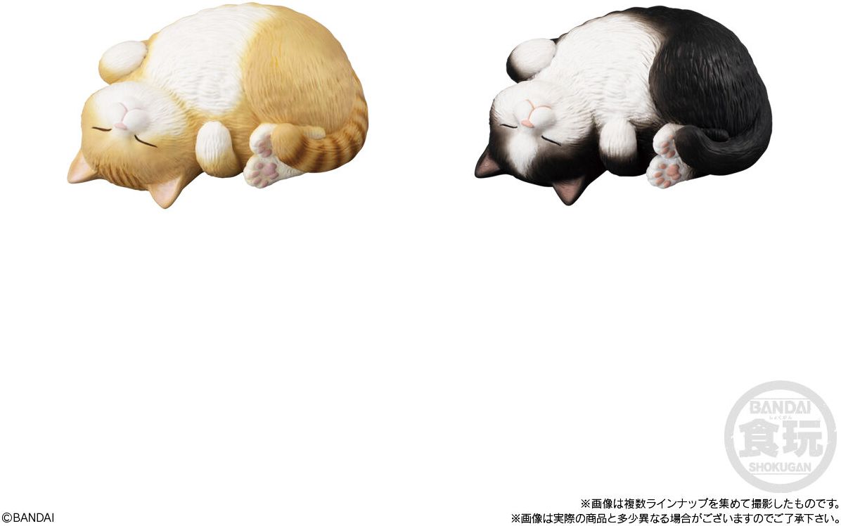 Mocchiri Kororin Cats Bandai Shokugan Mocchiri Kororin