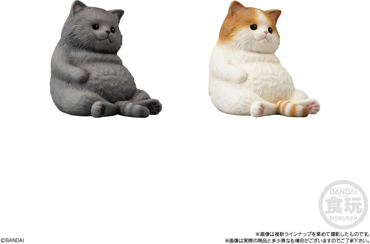 Mocchiri Kororin Cats Bandai Shokugan Mocchiri Kororin