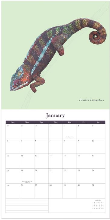 2026 Ben Rothery SQ Calendar