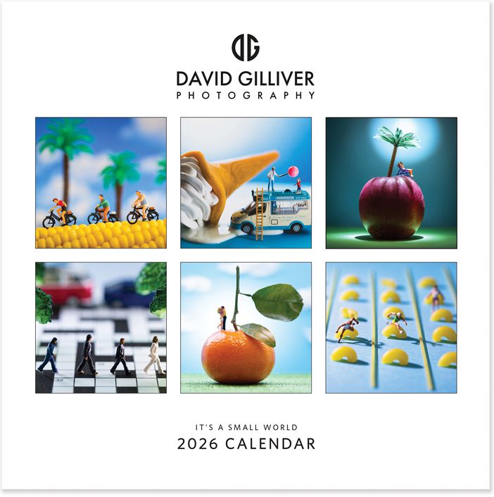 2026 David Gilliver - Small World - SQ Calendar
