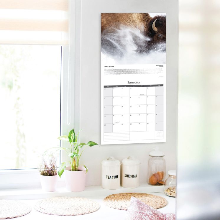 2026 Wildlife Photographer of the Year - SQ Calendar