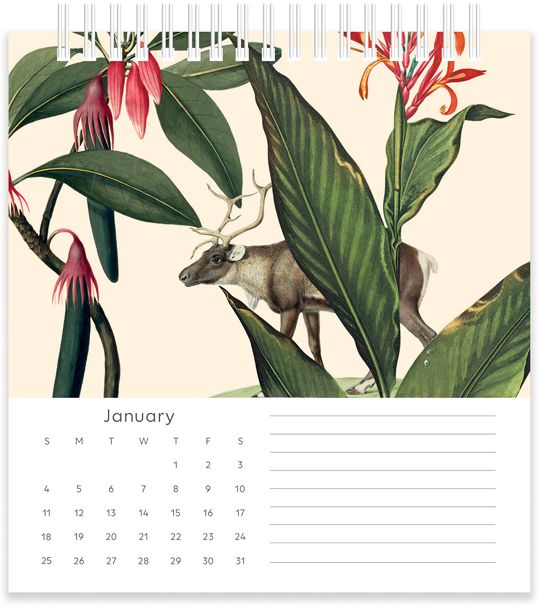 2026 NHM Flora & Fauna Desk Calendar