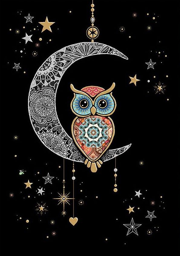 BLANK MOON OWL GREETING CARD