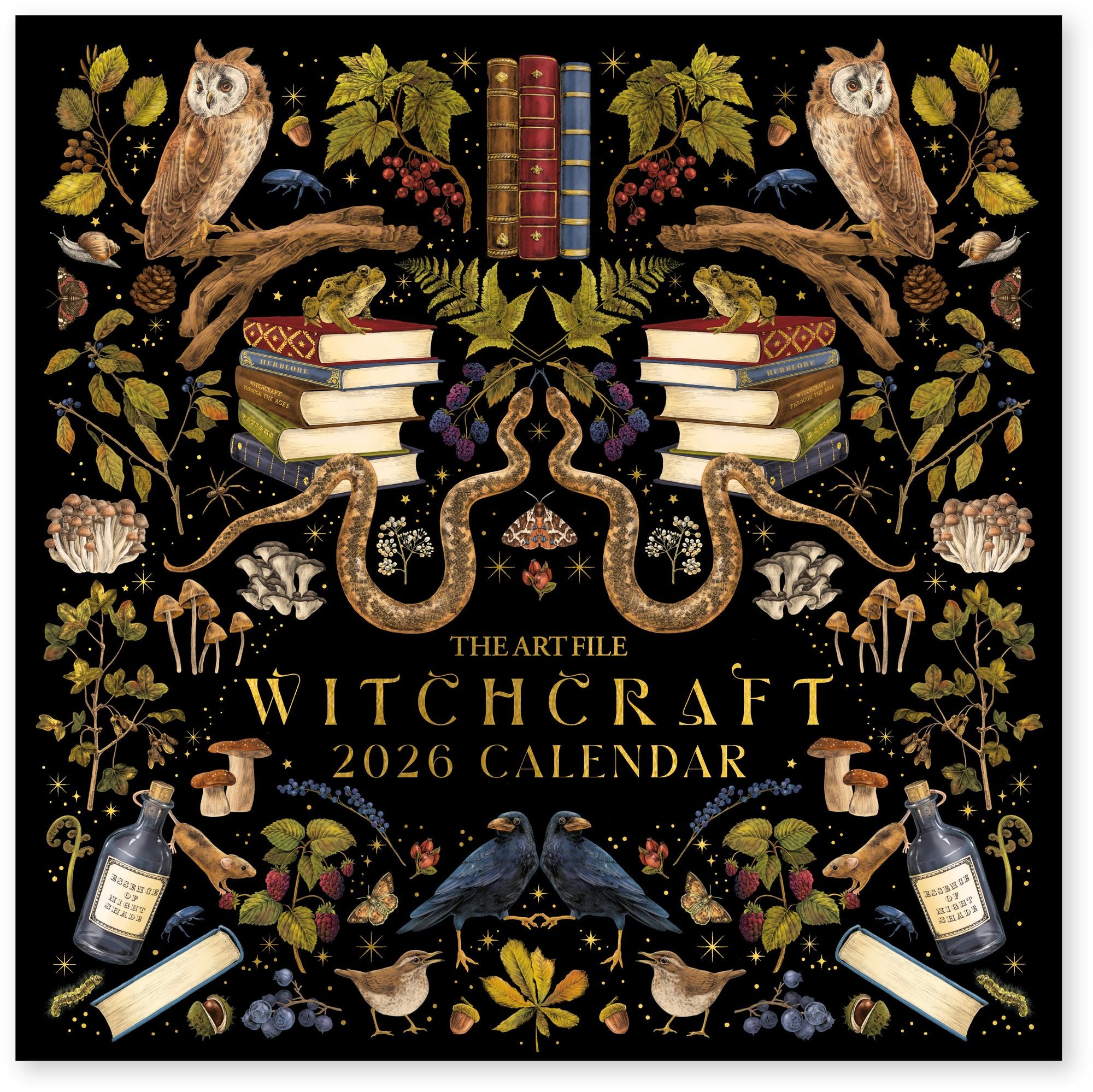 2026 WITCHCRAFT WALL CALENDAR
