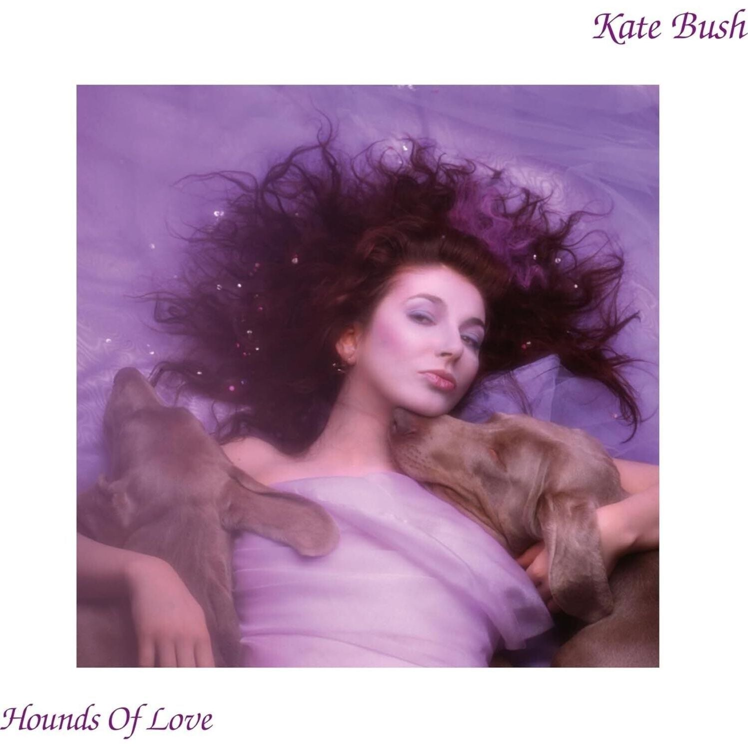 Hounds of Love [Fish People Edition - 180gm Purple Vinyl OBI Strip Version]