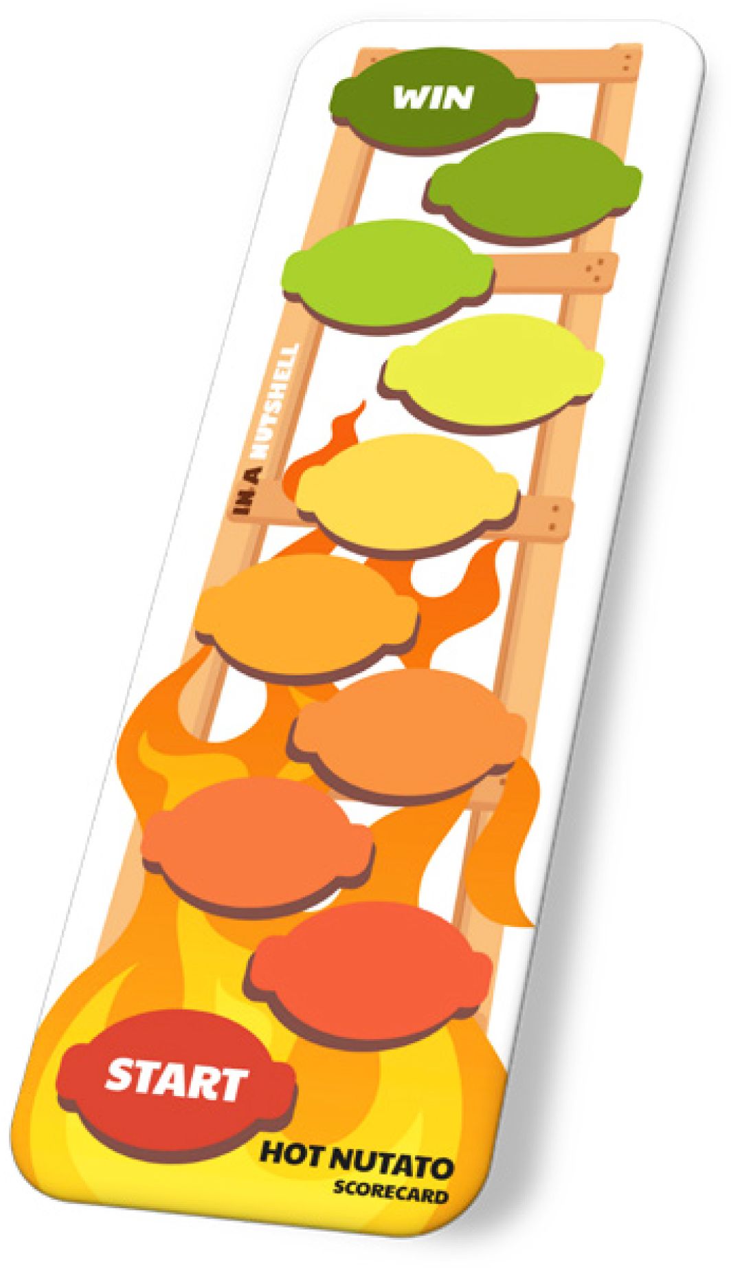 In a Nutshell by Ceri Price & Natalie Podd