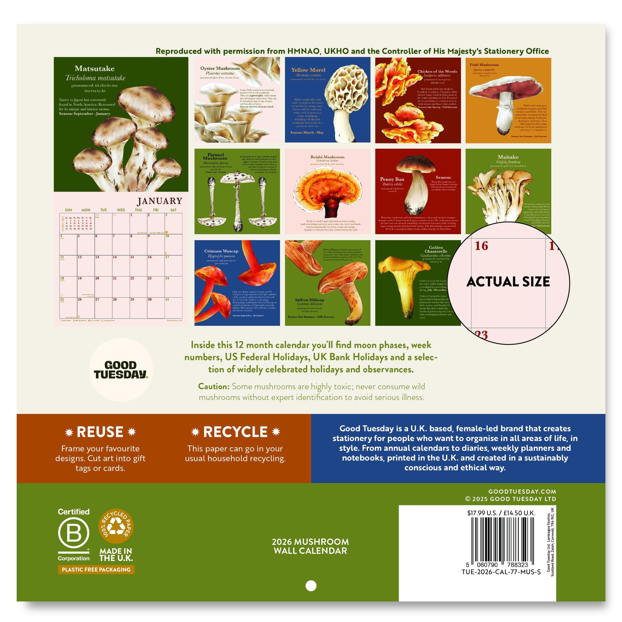 2026 Mushroom Mini Grid Art Calendar