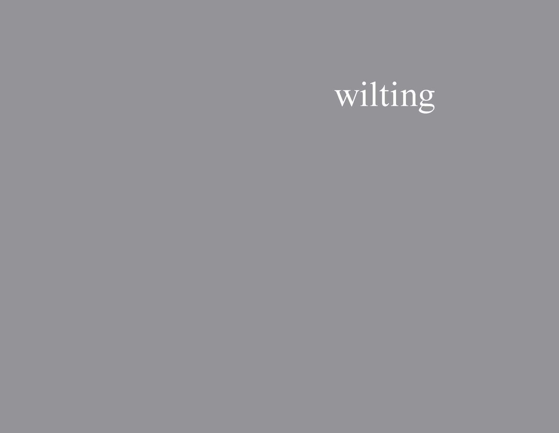 574063962.webp