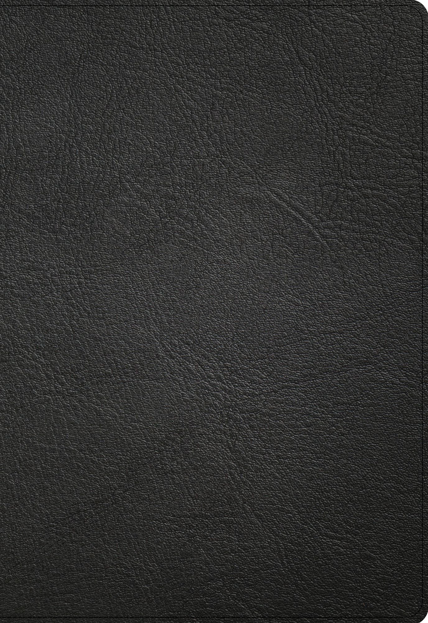 607264480.jpg