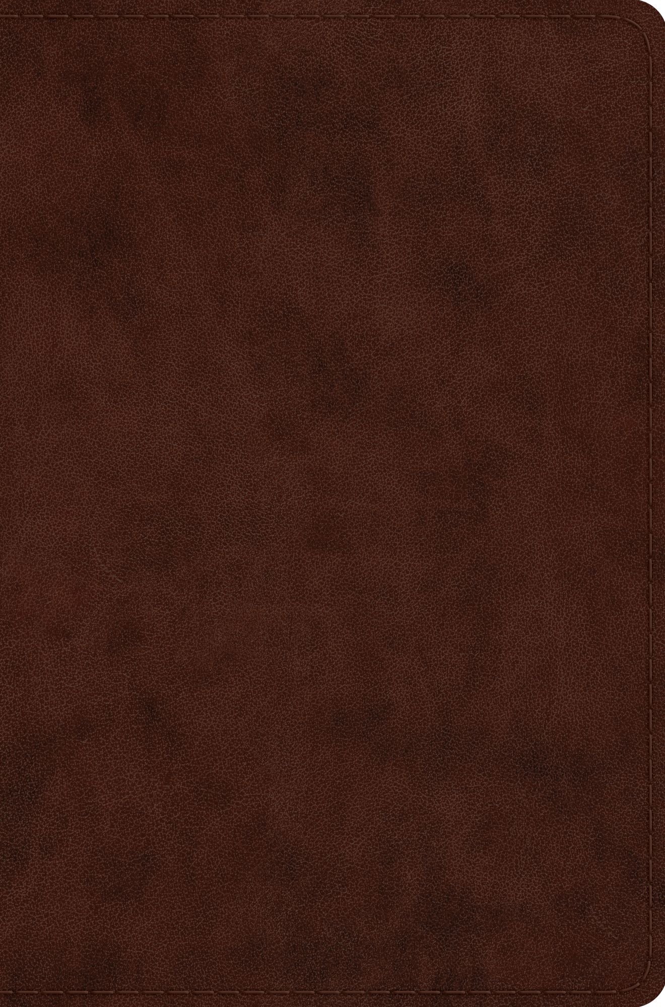 608805462.jpg