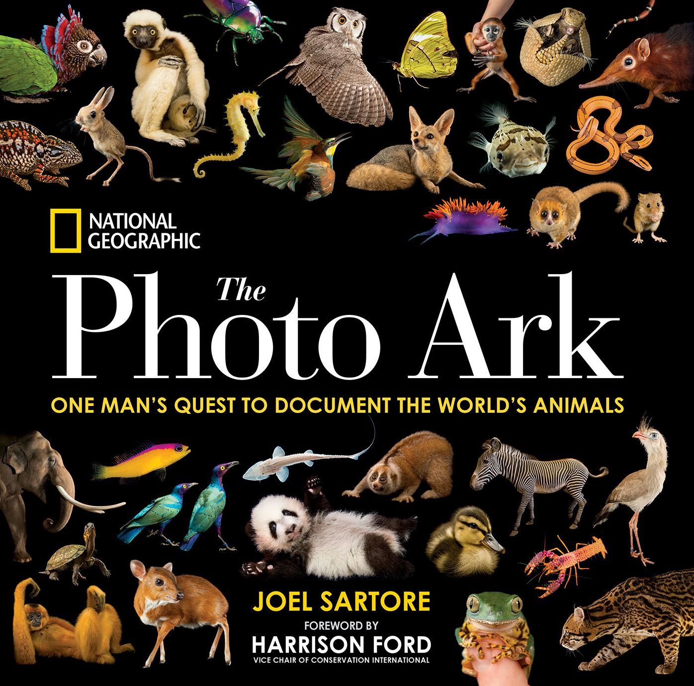 613682996.jpg