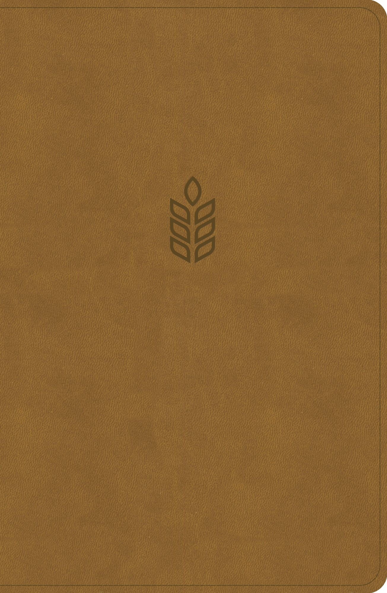 619194850.jpg