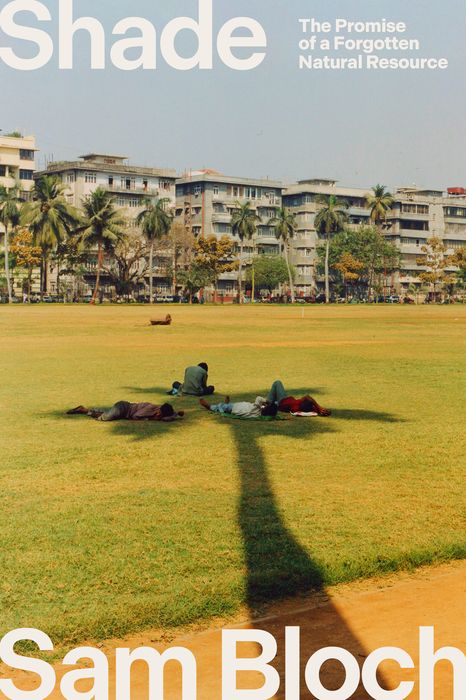 620146381.jpg