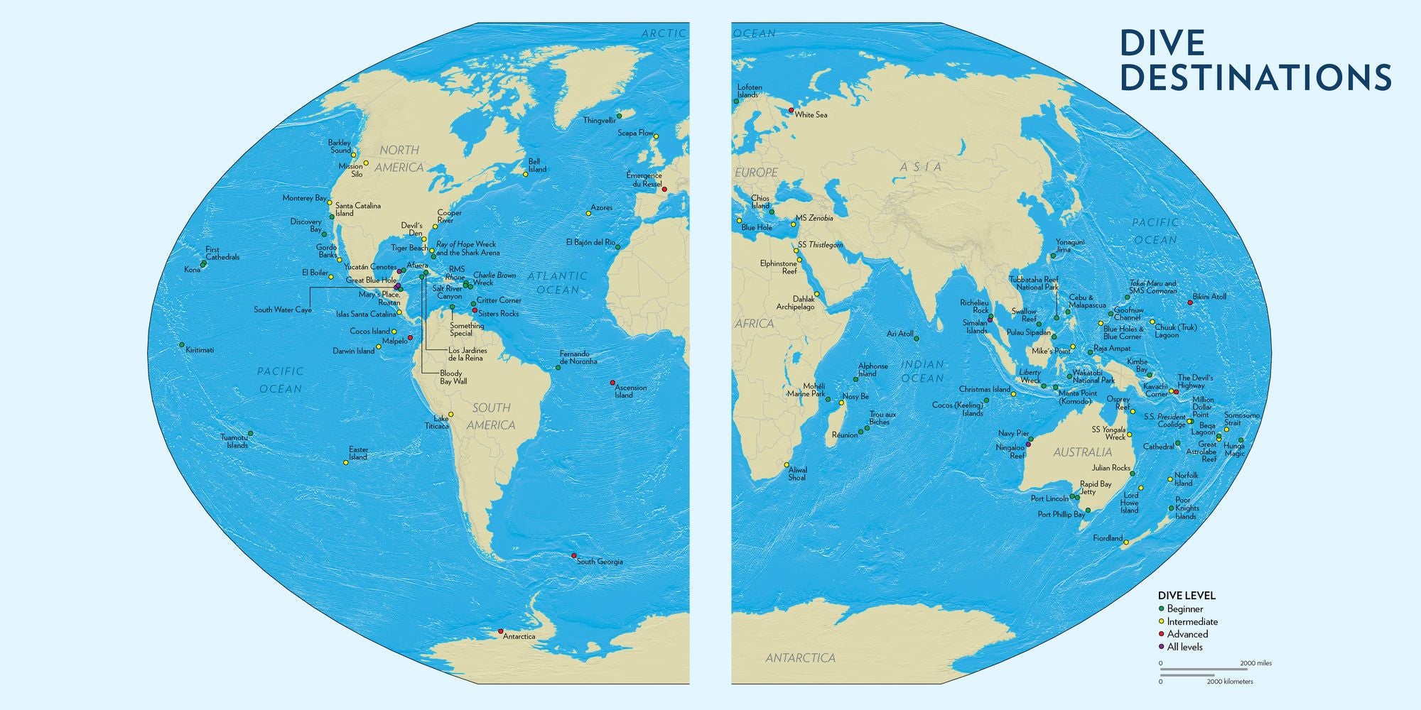 622429445.jpg