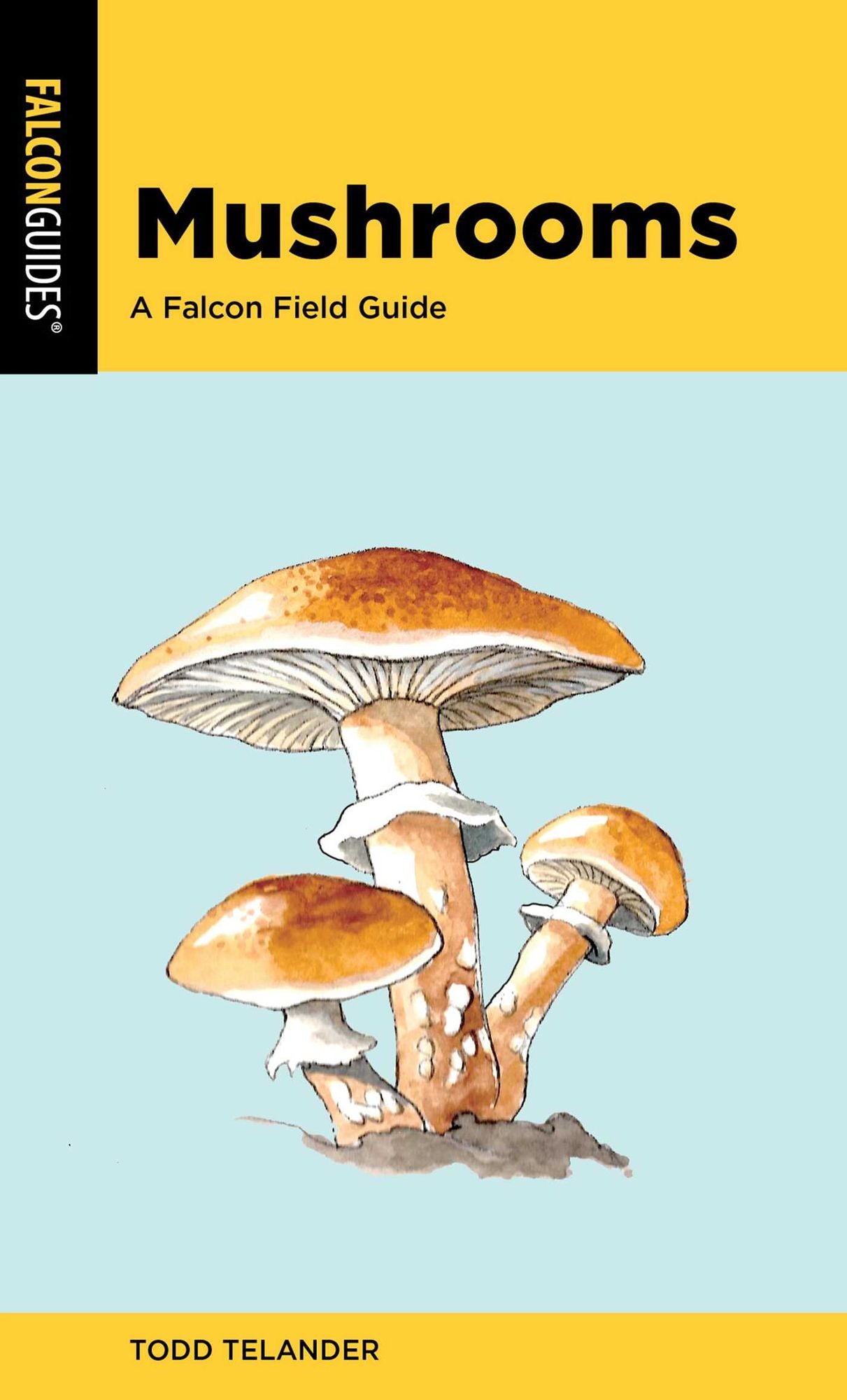 623612934.jpg