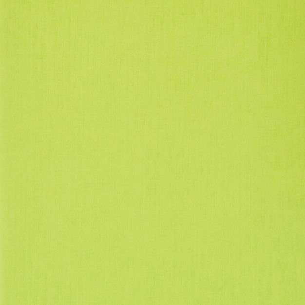 Ecoqua Original Notebook, A4, Staple-Bound, Dotted, Lime