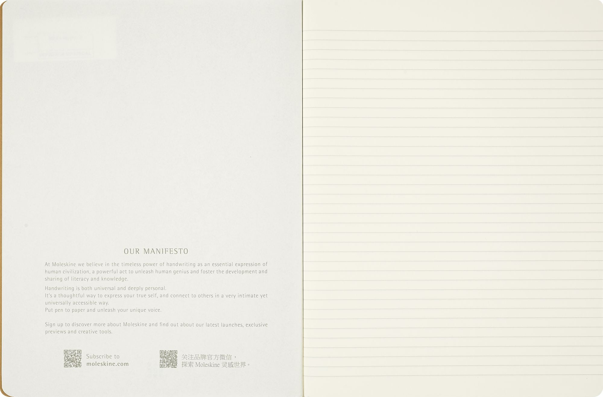 Moleskine Limited Edition Alice's Adventures in Wonderland Cahier Journals (Set of 3), Soft Cover, XL (7.5" x 9.75") Ruled/Lined, 120 Pages