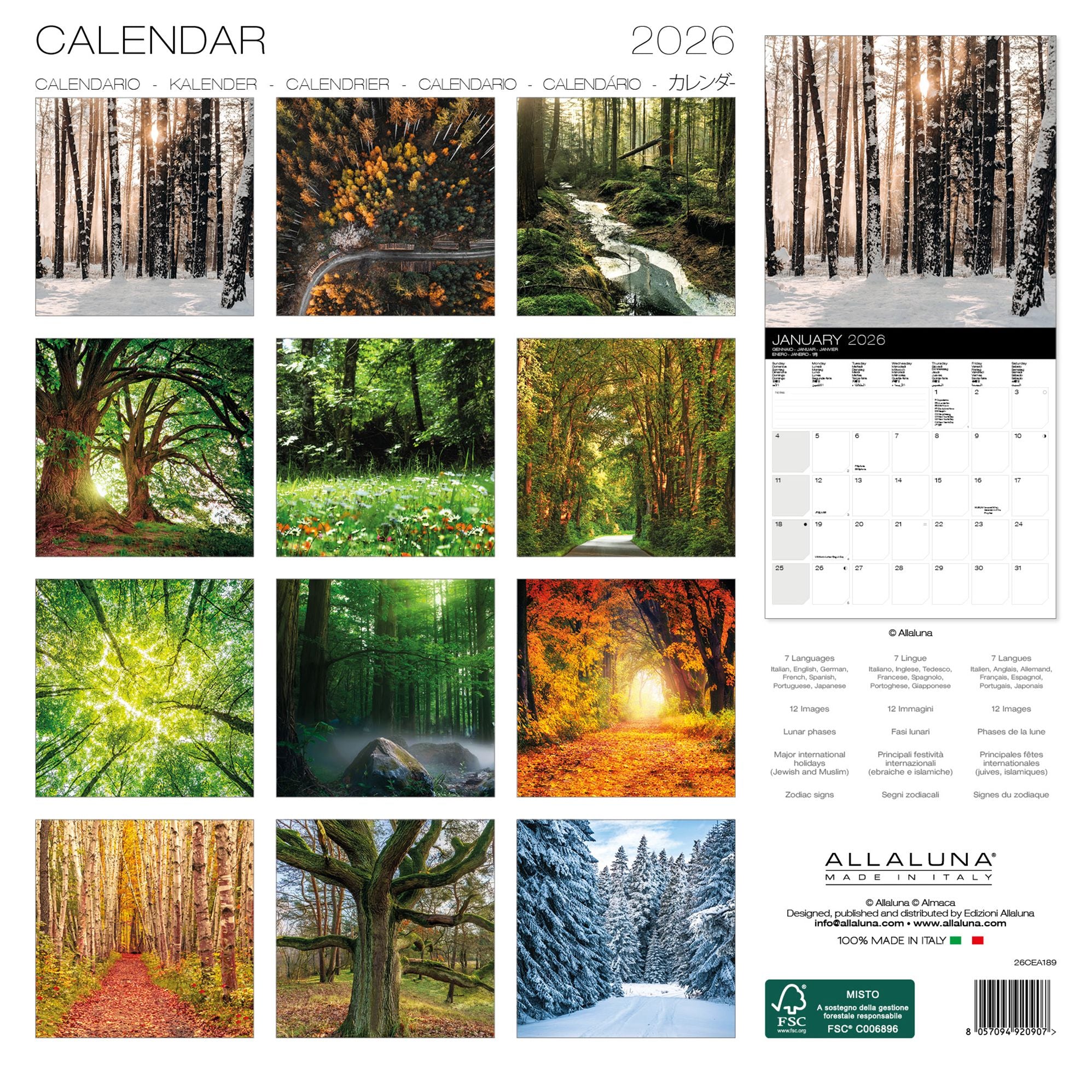 2026 Magic Trees Wall Calendar