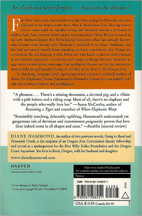 Hannah's Dream: A Novel