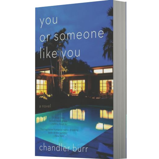You or Someone Like You: A Novel
