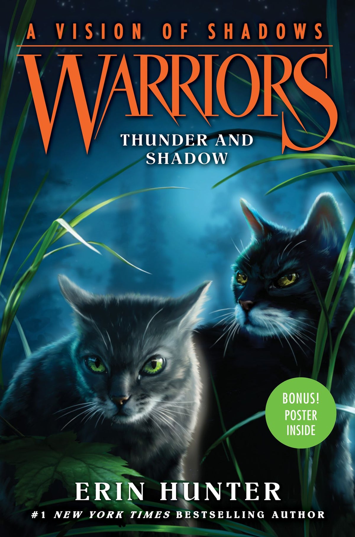 Thunder and Shadow (Warriors: A Vision of Shadows Series #2)