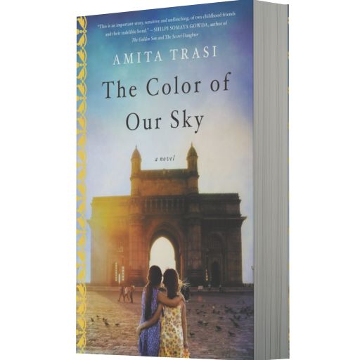 The Color of Our Sky: A Novel