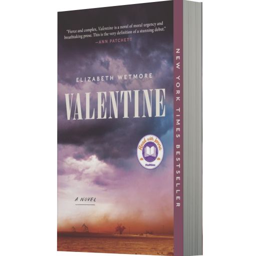 Valentine (A Read with Jenna Pick)
