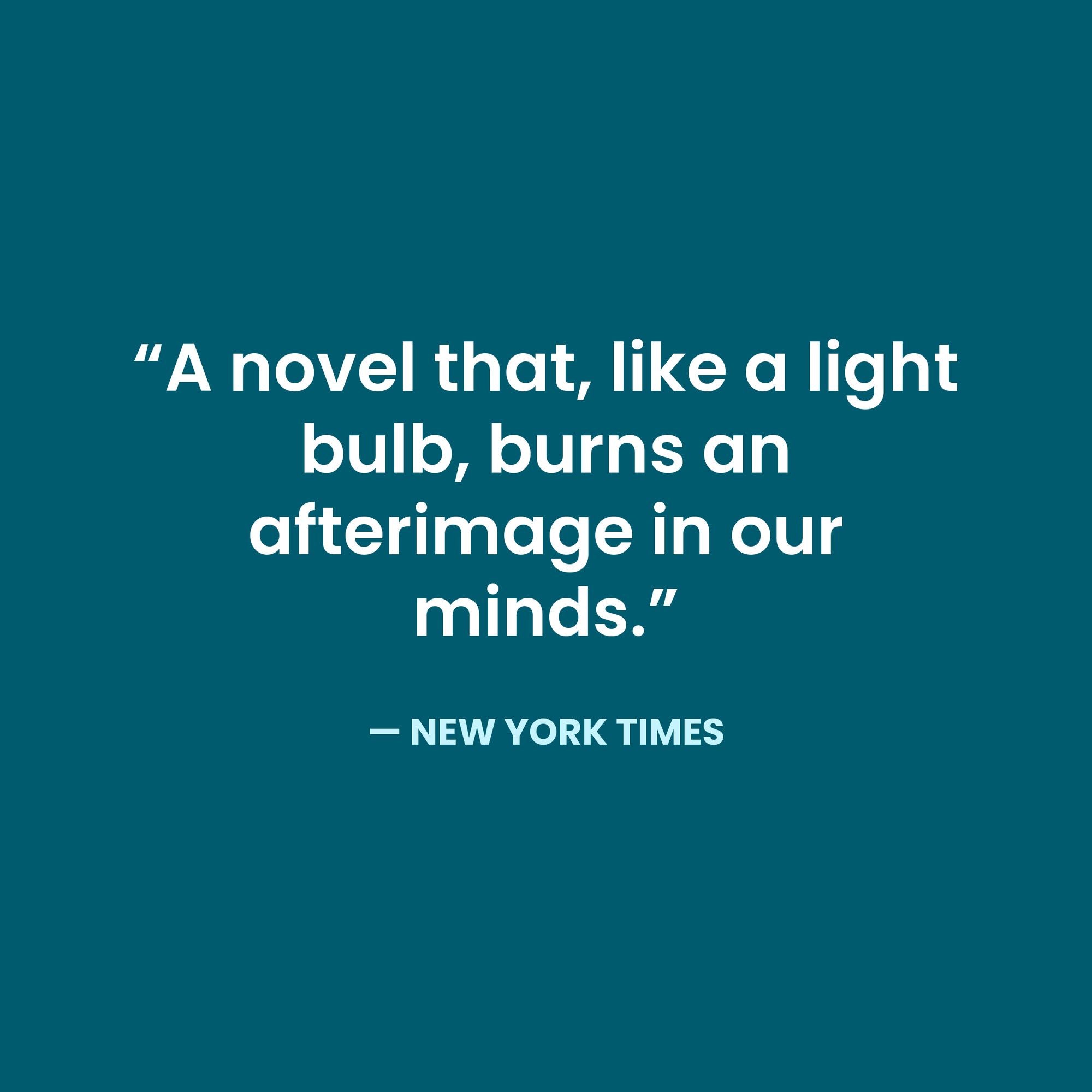 Dear Ann: A Novel