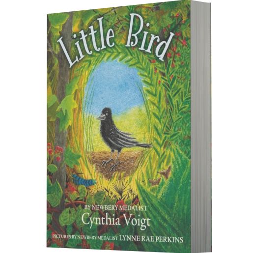 Little Bird