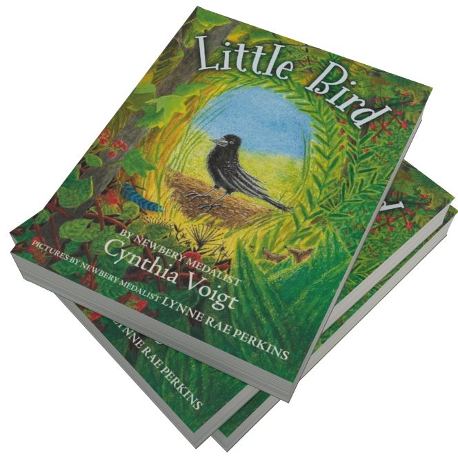 Little Bird