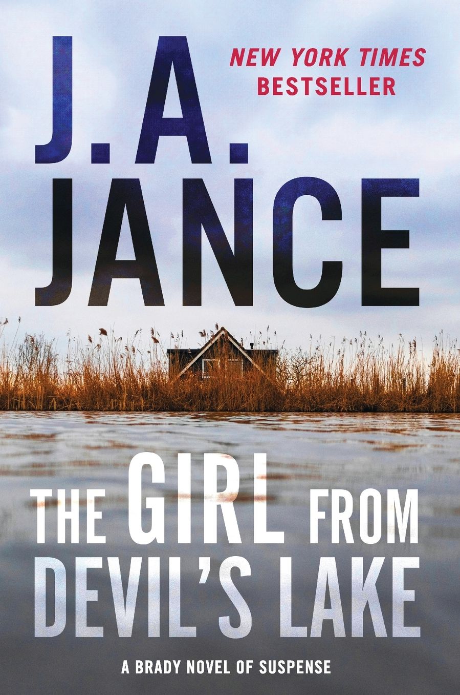 The Girl from Devil's Lake: A Brady Novel of Suspense