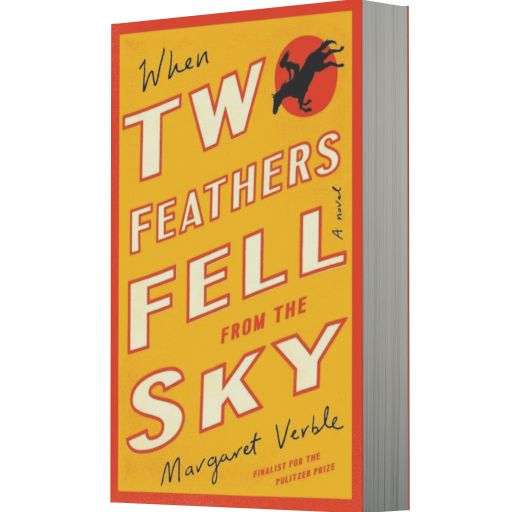 When Two Feathers Fell from the Sky