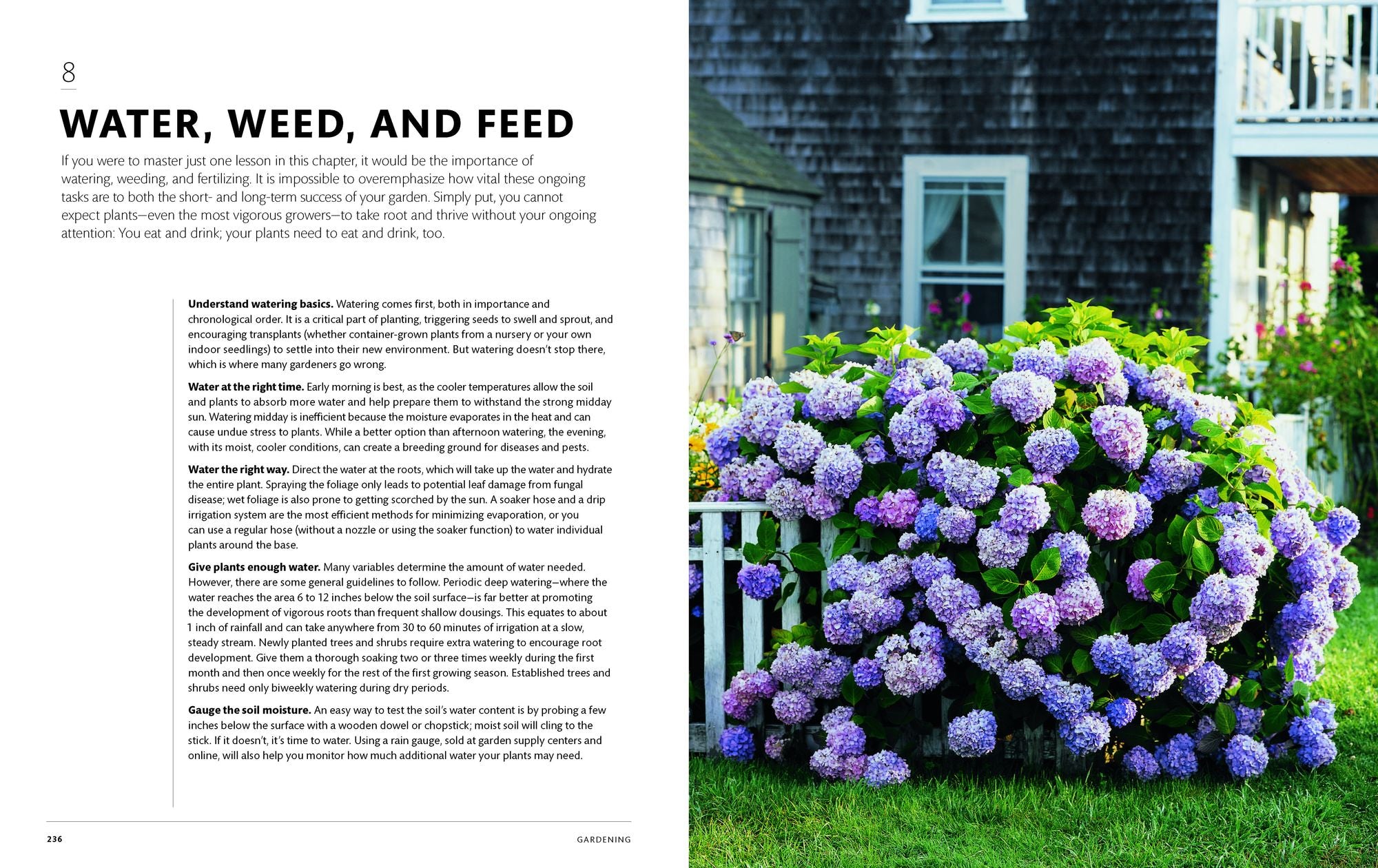 The Martha Way: Essential Principles for Mastering Home and Living
