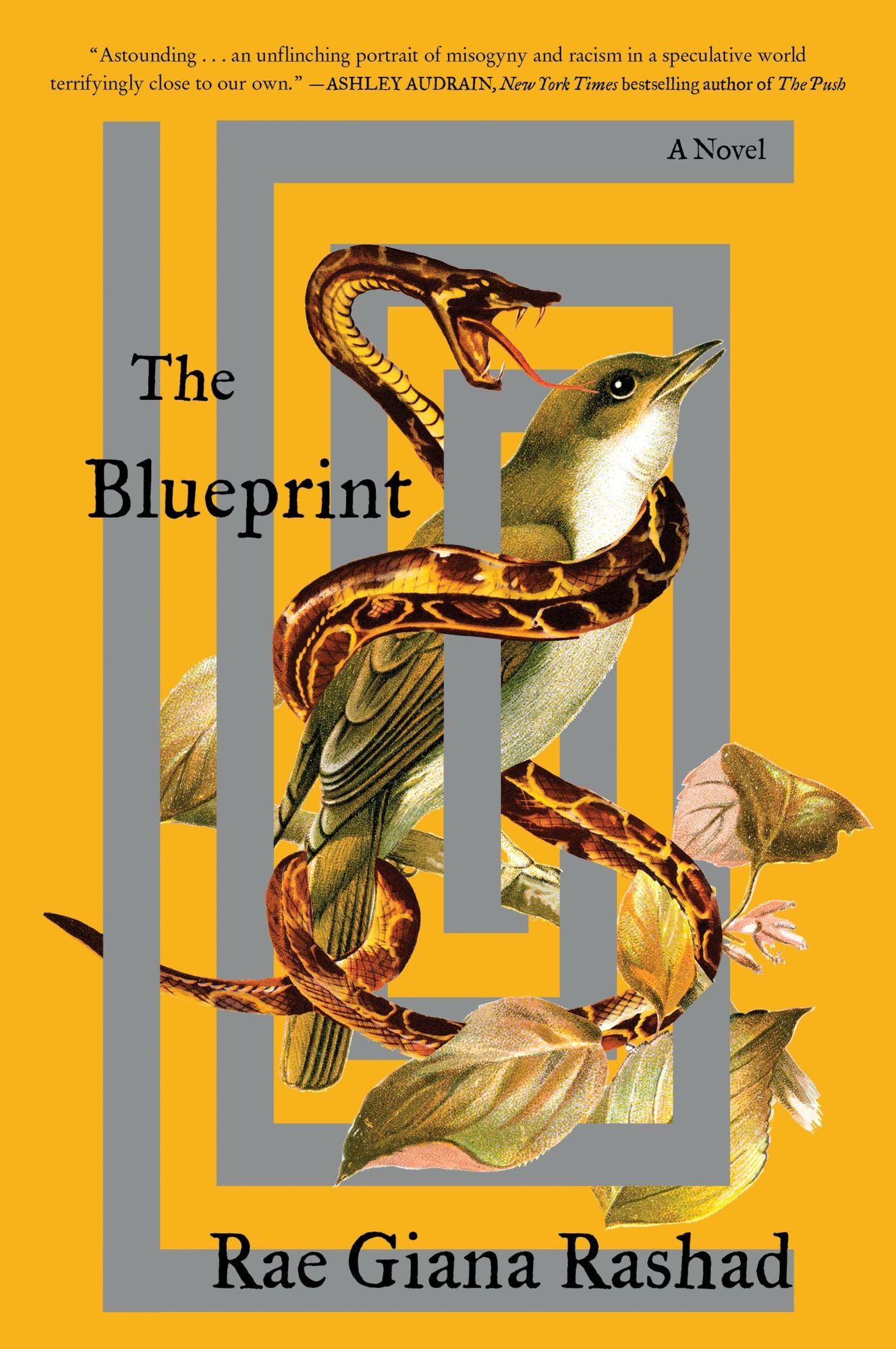 The Blueprint: A Novel
