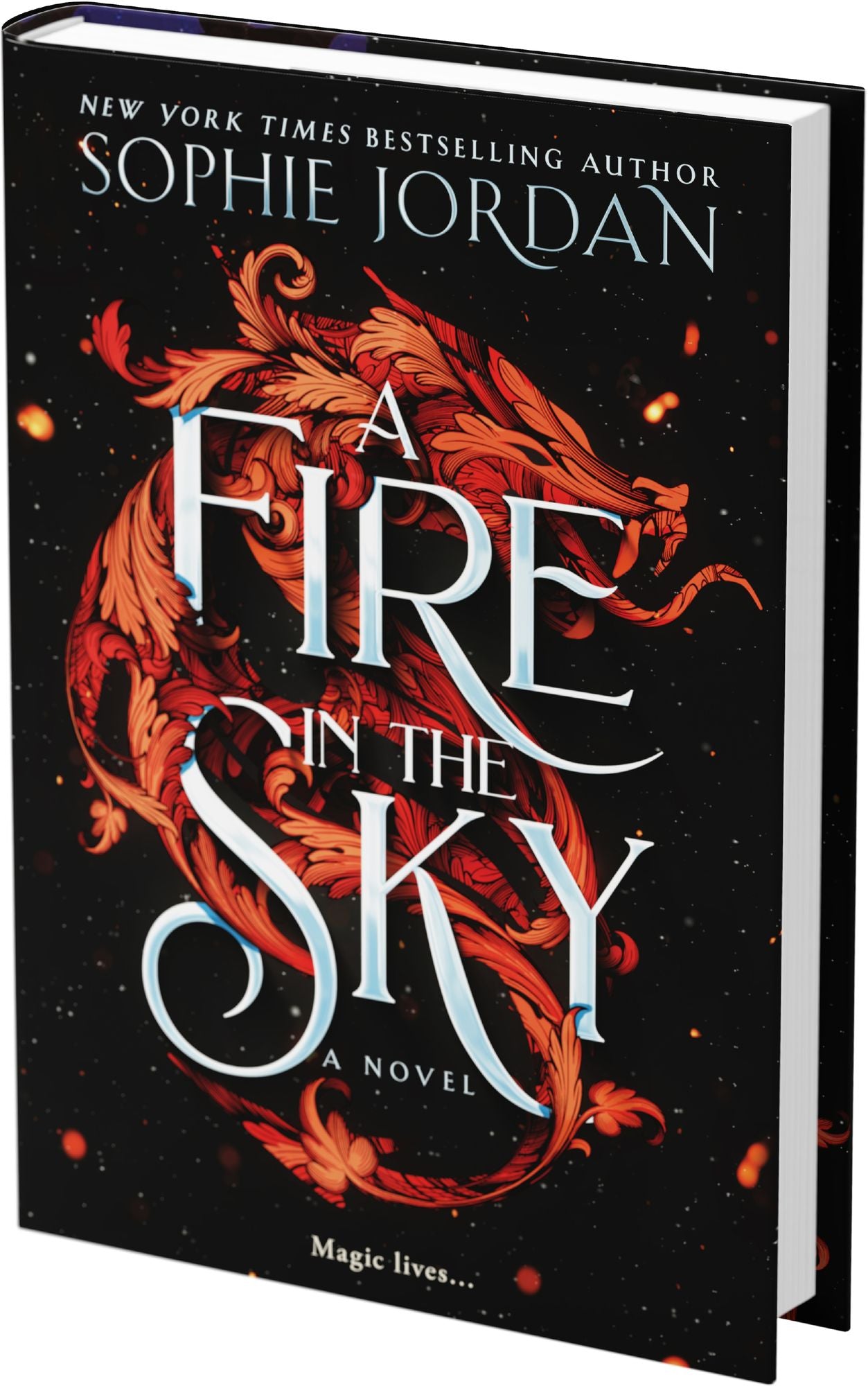 A Fire in the Sky: A Novel