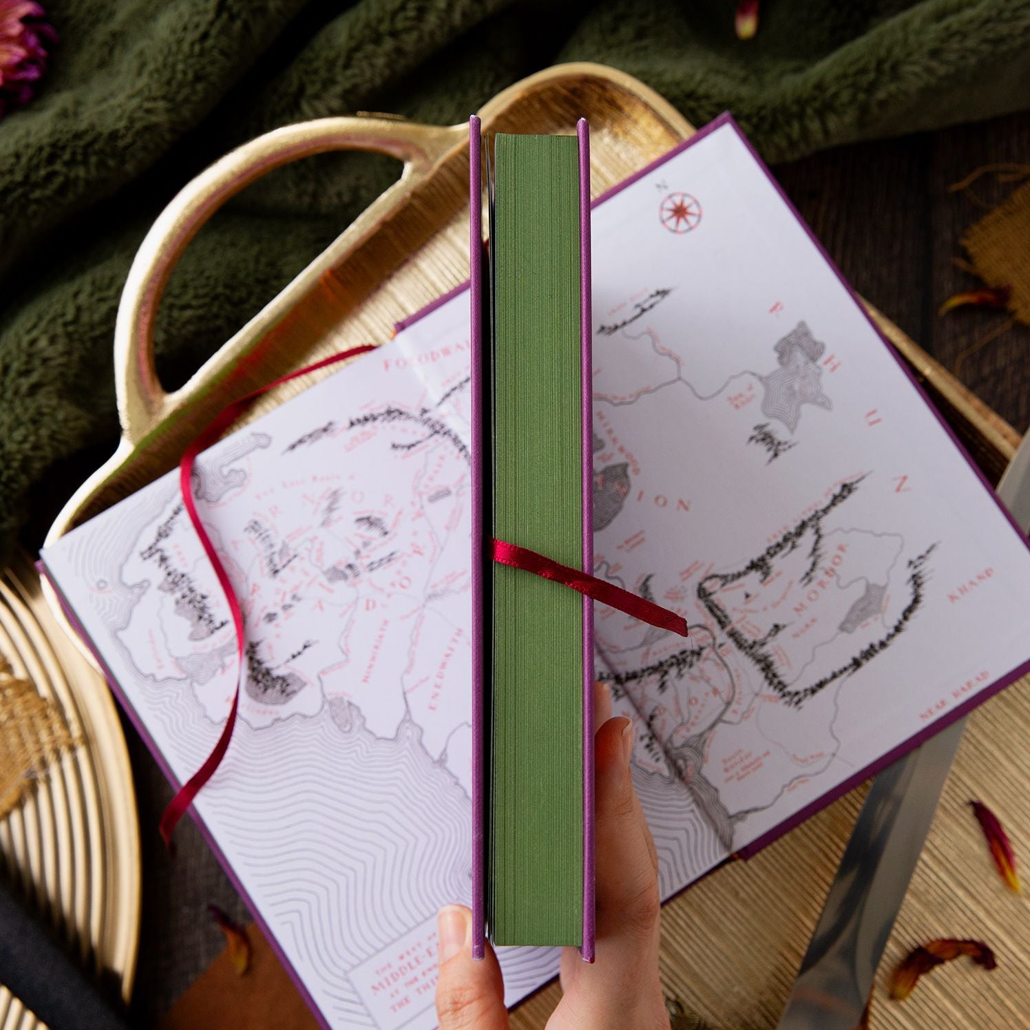 The Two Towers Collector's Edition: Being the Second Part of The Lord of the Rings