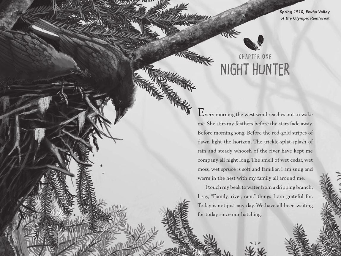 A Raven of the Rainforest