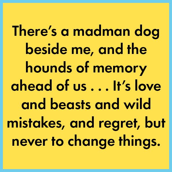 Three Wild Dogs (and the truth): A Memoir