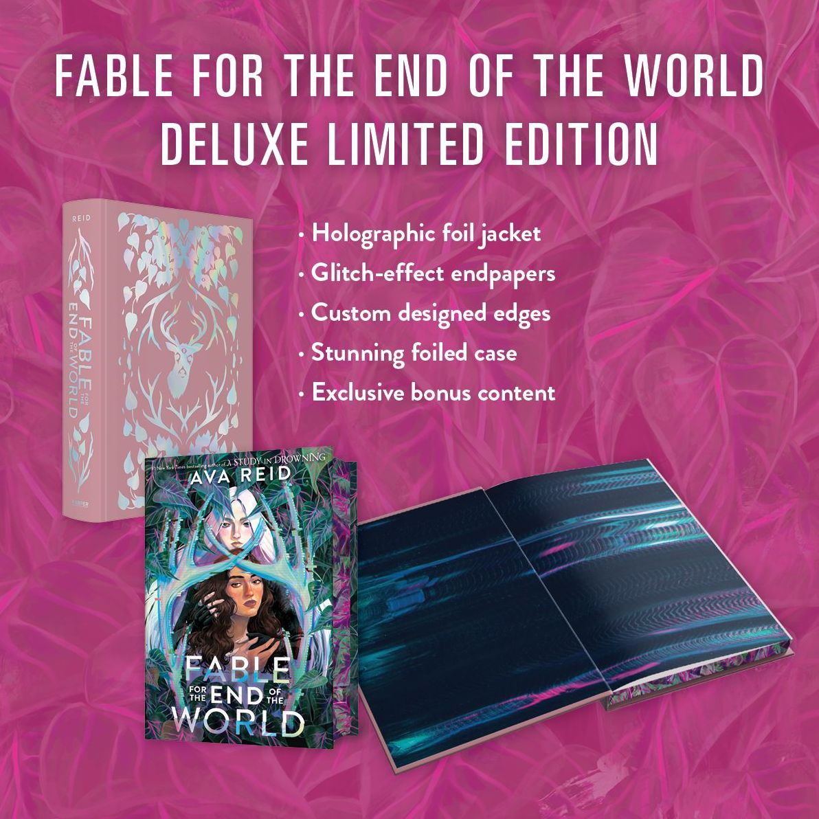 Fable for the End of the World Deluxe Limited Edition
