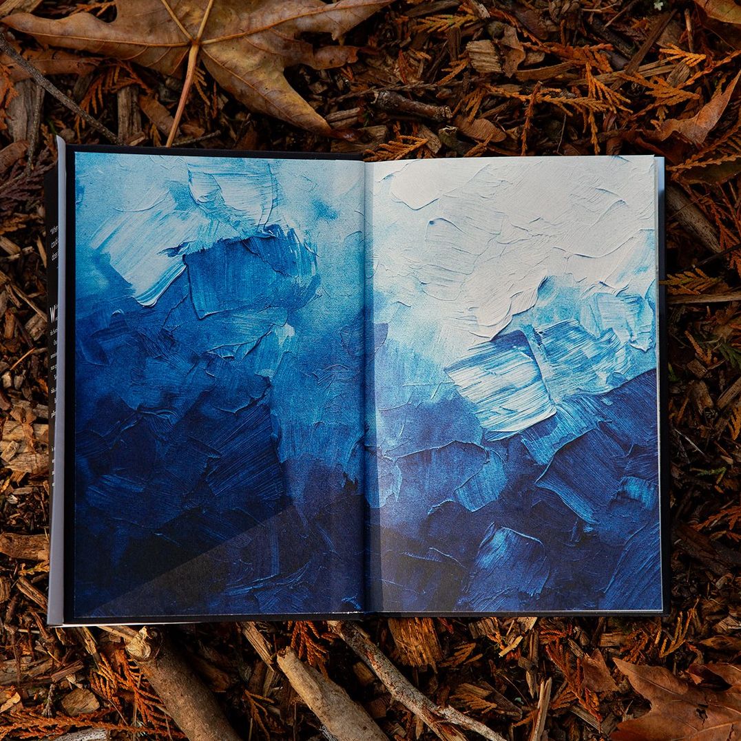 The Blue Hour: A Novel (B&N Exclusive Edition)