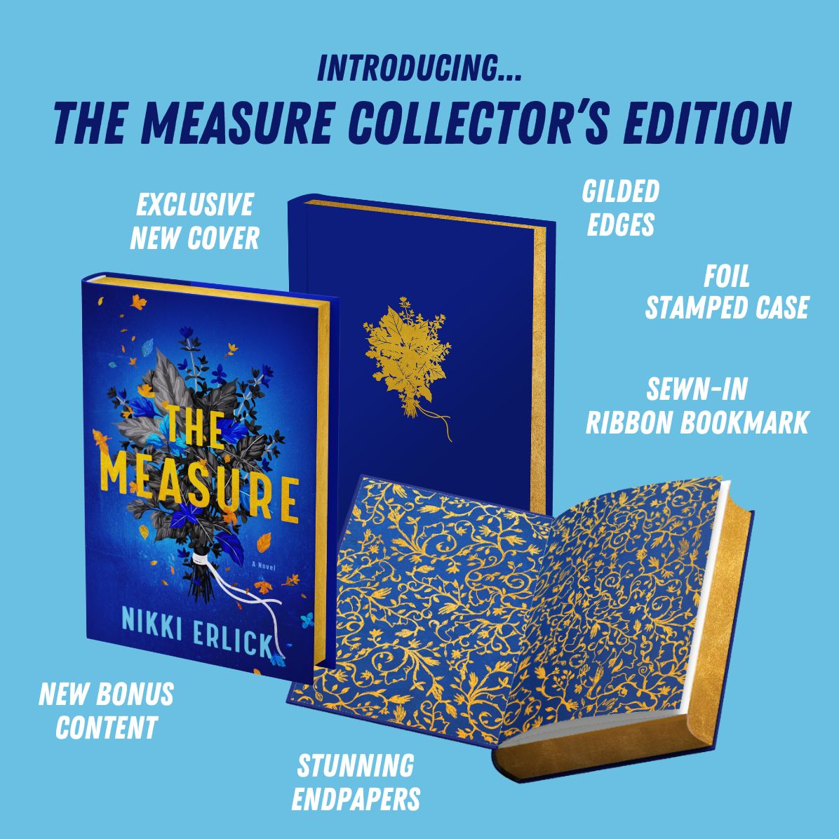 The Measure Deluxe Collector's Edition: A Novel